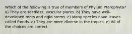 Which of the following is true of members of Phylum Pterophyta? a) They are seedless, vascular plants. b) They have well-developed roots and rigid stems. c) Many species have leaves called fronds. d) They are more diverse in the tropics. e) All of the choices are correct.
