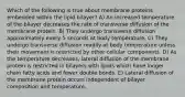 Which of the following is true about membrane proteins embedded within the lipid bilayer? A) An increased temperature of the bilayer decreases the rate of transverse diffusion of the membrane protein. B) They undergo transverse diffusion approximately every 5 seconds at body temperature. C) They undergo transverse diffusion readily at body temperature unless their movement is restricted by other cellular components. D) As the temperature decreases, lateral diffusion of the membrane protein is restricted in bilayers with lipids which have longer chain fatty acids and fewer double bonds. E) Lateral diffusion of the membrane protein occurs independent of bilayer composition and temperature.