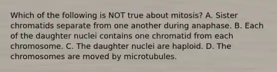 Which of the following is NOT true about mitosis? A. Sister chromatids separate from one another during anaphase. B. Each of the daughter nuclei contains one chromatid from each chromosome. C. The daughter nuclei are haploid. D. The chromosomes are moved by microtubules.