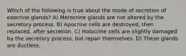 Which of the following is true about the mode of secretion of exocrine glands? A) Merocrine glands are not altered by the secretory process. B) Apocrine cells are destroyed, then replaced, after secretion. C) Holocrine cells are slightly damaged by the secretory process, but repair themselves. D) These glands are ductless.