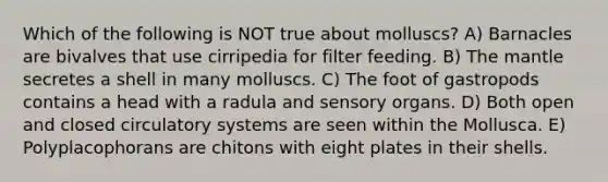 Which of the following is NOT true about molluscs? A) Barnacles are bivalves that use cirripedia for filter feeding. B) The mantle secretes a shell in many molluscs. C) The foot of gastropods contains a head with a radula and sensory organs. D) Both open and closed circulatory systems are seen within the Mollusca. E) Polyplacophorans are chitons with eight plates in their shells.