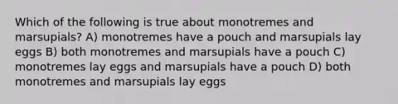 Which of the following is true about monotremes and marsupials? A) monotremes have a pouch and marsupials lay eggs B) both monotremes and marsupials have a pouch C) monotremes lay eggs and marsupials have a pouch D) both monotremes and marsupials lay eggs