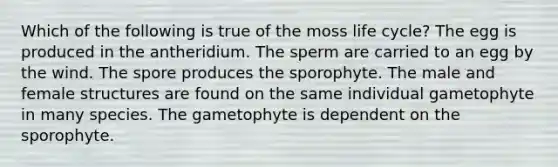 Which of the following is true of the moss life cycle? The egg is produced in the antheridium. The sperm are carried to an egg by the wind. The spore produces the sporophyte. The male and female structures are found on the same individual gametophyte in many species. The gametophyte is dependent on the sporophyte.