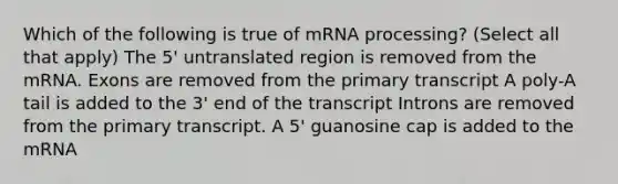 Which of the following is true of mRNA processing? (Select all that apply) The 5' untranslated region is removed from the mRNA. Exons are removed from the primary transcript A poly-A tail is added to the 3' end of the transcript Introns are removed from the primary transcript. A 5' guanosine cap is added to the mRNA