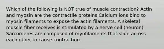 Which of the following is NOT true of muscle contraction? Actin and myosin are the contractile proteins Calcium ions bind to myosin filaments to expose the actin filaments. A skeletal muscle fiber receives is stimulated by a nerve cell (neuron). Sarcomeres are composed of myofilaments that slide across each other to cause contraction.