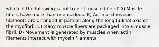 which of the following is not true of muscle fibers? A) Muscle fibers have more than one nucleus. B) Actin and myosin filaments are arranged in parallel along the longitudinal axis on the myofibril. C) Many muscle fibers are packaged into a muscle fibril. D) Movement is generated by muscles when actin filaments interact with myosin filaments