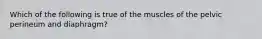 Which of the following is true of the muscles of the pelvic perineum and diaphragm?