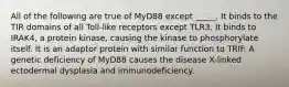 All of the following are true of MyD88 except _____. It binds to the TIR domains of all Toll-like receptors except TLR3. It binds to IRAK4, a protein kinase, causing the kinase to phosphorylate itself. It is an adaptor protein with similar function to TRIF. A genetic deficiency of MyD88 causes the disease X-linked ectodermal dysplasia and immunodeficiency.