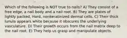 Which of the following is NOT true to nails? A) They consist of a free edge, a nail body and a nail root. B) They are plates of lightly packed, Hard, nonkeratinized dermal cells. C) Their thick lunula appears white because it obscures the underlying vasculature. D) Their growth occurs from the nail matrix deep to the nail root. E) They help us grasp and manipulate objects.