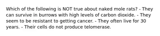 Which of the following is NOT true about naked mole rats? - They can survive in burrows with high levels of carbon dioxide. - They seem to be resistant to getting cancer. - They often live for 30 years. - Their cells do not produce telomerase.