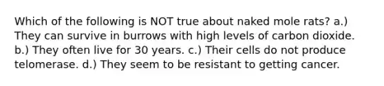 Which of the following is NOT true about naked mole rats? a.) They can survive in burrows with high levels of carbon dioxide. b.) They often live for 30 years. c.) Their cells do not produce telomerase. d.) They seem to be resistant to getting cancer.