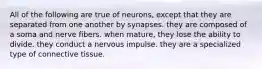 All of the following are true of neurons, except that they are separated from one another by synapses. they are composed of a soma and nerve fibers. when mature, they lose the ability to divide. they conduct a nervous impulse. they are a specialized type of connective tissue.