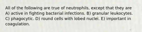 All of the following are true of neutrophils, except that they are A) active in fighting bacterial infections. B) granular leukocytes. C) phagocytic. D) round cells with lobed nuclei. E) important in coagulation.