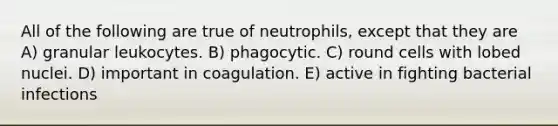 All of the following are true of neutrophils, except that they are A) granular leukocytes. B) phagocytic. C) round cells with lobed nuclei. D) important in coagulation. E) active in fighting bacterial infections