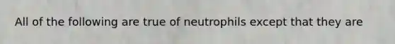 All of the following are true of neutrophils except that they are