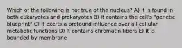 Which of the following is not true of the nucleus? A) It is found in both eukaryotes and prokaryotes B) It contains the cell's "genetic blueprint" C) It exerts a profound influence over all cellular metabolic functions D) It contains chromatin fibers E) It is bounded by membrane