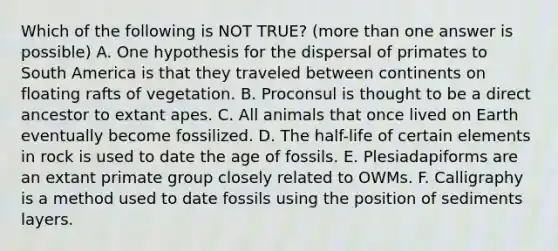 Which of the following is NOT TRUE? (more than one answer is possible) A. One hypothesis for the dispersal of primates to South America is that they traveled between continents on floating rafts of vegetation. B. Proconsul is thought to be a direct ancestor to extant apes. C. All animals that once lived on Earth eventually become fossilized. D. The half-life of certain elements in rock is used to date the age of fossils. E. Plesiadapiforms are an extant primate group closely related to OWMs. F. Calligraphy is a method used to date fossils using the position of sediments layers.