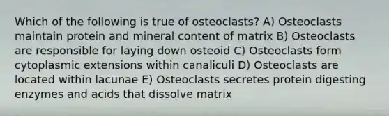 Which of the following is true of osteoclasts? A) Osteoclasts maintain protein and mineral content of matrix B) Osteoclasts are responsible for laying down osteoid C) Osteoclasts form cytoplasmic extensions within canaliculi D) Osteoclasts are located within lacunae E) Osteoclasts secretes protein digesting enzymes and acids that dissolve matrix