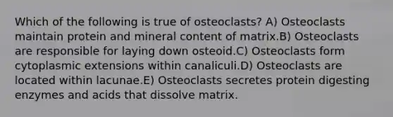 Which of the following is true of osteoclasts? A) Osteoclasts maintain protein and mineral content of matrix.B) Osteoclasts are responsible for laying down osteoid.C) Osteoclasts form cytoplasmic extensions within canaliculi.D) Osteoclasts are located within lacunae.E) Osteoclasts secretes protein digesting enzymes and acids that dissolve matrix.