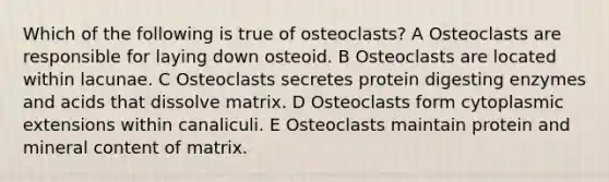 Which of the following is true of osteoclasts? A Osteoclasts are responsible for laying down osteoid. B Osteoclasts are located within lacunae. C Osteoclasts secretes protein digesting enzymes and acids that dissolve matrix. D Osteoclasts form cytoplasmic extensions within canaliculi. E Osteoclasts maintain protein and mineral content of matrix.