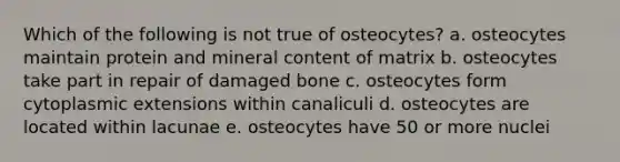 Which of the following is not true of osteocytes? a. osteocytes maintain protein and mineral content of matrix b. osteocytes take part in repair of damaged bone c. osteocytes form cytoplasmic extensions within canaliculi d. osteocytes are located within lacunae e. osteocytes have 50 or more nuclei