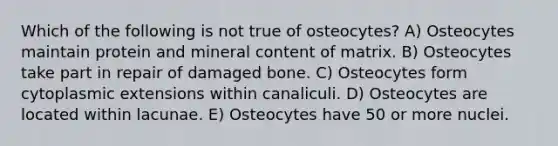 Which of the following is not true of osteocytes? A) Osteocytes maintain protein and mineral content of matrix. B) Osteocytes take part in repair of damaged bone. C) Osteocytes form cytoplasmic extensions within canaliculi. D) Osteocytes are located within lacunae. E) Osteocytes have 50 or more nuclei.