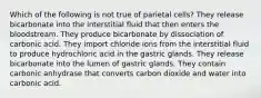 Which of the following is not true of parietal cells? They release bicarbonate into the interstitial fluid that then enters the bloodstream. They produce bicarbonate by dissociation of carbonic acid. They import chloride ions from the interstitial fluid to produce hydrochloric acid in the gastric glands. They release bicarbonate into the lumen of gastric glands. They contain carbonic anhydrase that converts carbon dioxide and water into carbonic acid.