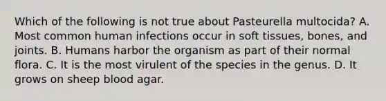 Which of the following is not true about Pasteurella multocida? A. Most common human infections occur in soft tissues, bones, and joints. B. Humans harbor the organism as part of their normal flora. C. It is the most virulent of the species in the genus. D. It grows on sheep blood agar.