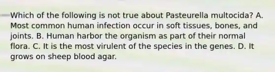 Which of the following is not true about Pasteurella multocida? A. Most common human infection occur in soft tissues, bones, and joints. B. Human harbor the organism as part of their normal flora. C. It is the most virulent of the species in the genes. D. It grows on sheep blood agar.