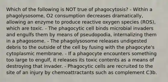 Which of the following is NOT true of phagocytosis? - Within a phagolysosome, O2 consumption decreases dramatically, allowing an enzyme to produce reactive oxygen species (ROS), which are toxic. - The phagocytic cell binds microbial invaders and engulfs them by means of pseudopodia, internalizing them in a phagosome. - The phagolysosome releases undigested debris to the outside of the cell by fusing with the phagocyte's cytoplasmic membrane. - If a phagocyte encounters something too large to engulf, it releases its toxic contents as a means of destroying that invader. - Phagocytic cells are recruited to the site of an injury by chemoattractants such as complement C3b.