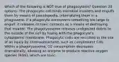 Which of the following is NOT true of phagocytosis? Question 20 options: The phagocytic cell binds microbial invaders and engulfs them by means of pseudopodia, internalizing them in a phagosome. If a phagocyte encounters something too large to engulf, it releases its toxic contents as a means of destroying that invader. The phagolysosome releases undigested debris to the outside of the cell by fusing with the phagocyte's cytoplasmic membrane. Phagocytic cells are recruited to the site of an injury by chemoattractants such as complement C3b. Within a phagolysosome, O2 consumption decreases dramatically, allowing an enzyme to produce reactive oxygen species (ROS), which are toxic.