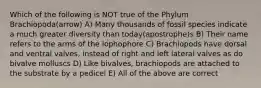 Which of the following is NOT true of the Phylum Brachiopoda(arrow) A) Many thousands of fossil species indicate a much greater diversity than today(apostrophe)s B) Their name refers to the arms of the lophophore C) Brachiopods have dorsal and ventral valves, instead of right and left lateral valves as do bivalve molluscs D) Like bivalves, brachiopods are attached to the substrate by a pedicel E) All of the above are correct