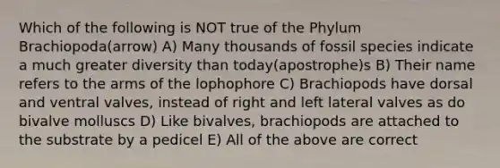 Which of the following is NOT true of the Phylum Brachiopoda(arrow) A) Many thousands of fossil species indicate a much greater diversity than today(apostrophe)s B) Their name refers to the arms of the lophophore C) Brachiopods have dorsal and ventral valves, instead of right and left lateral valves as do bivalve molluscs D) Like bivalves, brachiopods are attached to the substrate by a pedicel E) All of the above are correct