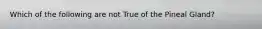 Which of the following are not True of the Pineal Gland?