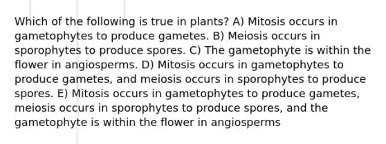 Which of the following is true in plants? A) Mitosis occurs in gametophytes to produce gametes. B) Meiosis occurs in sporophytes to produce spores. C) The gametophyte is within the flower in angiosperms. D) Mitosis occurs in gametophytes to produce gametes, and meiosis occurs in sporophytes to produce spores. E) Mitosis occurs in gametophytes to produce gametes, meiosis occurs in sporophytes to produce spores, and the gametophyte is within the flower in angiosperms