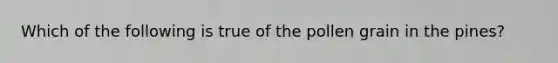 Which of the following is true of the pollen grain in the pines?