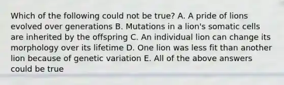 Which of the following could not be true? A. A pride of lions evolved over generations B. Mutations in a lion's somatic cells are inherited by the offspring C. An individual lion can change its morphology over its lifetime D. One lion was less fit than another lion because of genetic variation E. All of the above answers could be true