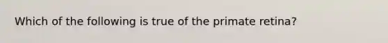 Which of the following is true of the primate retina?