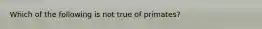 Which of the following is not true of primates?