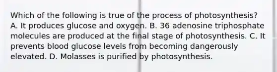 Which of the following is true of the process of photosynthesis? A. It produces glucose and oxygen. B. 36 adenosine triphosphate molecules are produced at the final stage of photosynthesis. C. It prevents blood glucose levels from becoming dangerously elevated. D. Molasses is purified by photosynthesis.