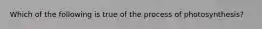 Which of the following is true of the process of photosynthesis?