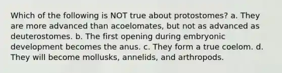 Which of the following is NOT true about protostomes? a. They are more advanced than acoelomates, but not as advanced as deuterostomes. b. The first opening during embryonic development becomes the anus. c. They form a true coelom. d. They will become mollusks, annelids, and arthropods.