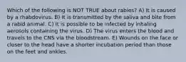 Which of the following is NOT TRUE about rabies? A) It is caused by a rhabdovirus. B) It is transmitted by the saliva and bite from a rabid animal. C) It is possible to be infected by inhaling aerosols containing the virus. D) The virus enters the blood and travels to the CNS via the bloodstream. E) Wounds on the face or closer to the head have a shorter incubation period than those on the feet and ankles.