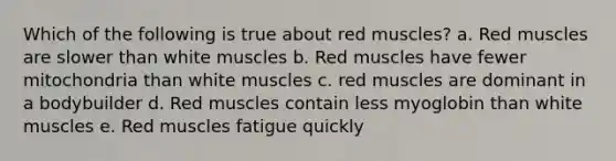 Which of the following is true about red muscles? a. Red muscles are slower than white muscles b. Red muscles have fewer mitochondria than white muscles c. red muscles are dominant in a bodybuilder d. Red muscles contain less myoglobin than white muscles e. Red muscles fatigue quickly