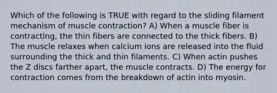 Which of the following is TRUE with regard to the sliding filament mechanism of muscle contraction? A) When a muscle fiber is contracting, the thin fibers are connected to the thick fibers. B) The muscle relaxes when calcium ions are released into the fluid surrounding the thick and thin filaments. C) When actin pushes the Z discs farther apart, the muscle contracts. D) The energy for contraction comes from the breakdown of actin into myosin.