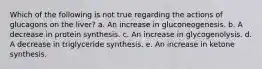 Which of the following is not true regarding the actions of glucagons on the liver? a. An increase in gluconeogenesis. b. A decrease in protein synthesis. c. An increase in glycogenolysis. d. A decrease in triglyceride synthesis. e. An increase in ketone synthesis.