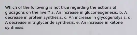 Which of the following is not true regarding the actions of glucagons on the liver? a. An increase in gluconeogenesis. b. A decrease in protein synthesis. c. An increase in glycogenolysis. d. A decrease in triglyceride synthesis. e. An increase in ketone synthesis.