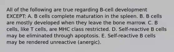 All of the following are true regarding B-cell development EXCEPT: A. B cells complete maturation in the spleen. B. B cells are mostly developed when they leave the bone marrow. C. B cells, like T cells, are MHC class restricted. D. Self-reactive B cells may be eliminated through apoptosis. E. Self-reactive B cells may be rendered unreactive (anergic).