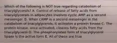 Which of the following is NOT true regarding catabolism of triacylglycerols? A. Control of release of fatty acids from triacylglycerols in adipocytes involves cyclic AMP as a second messenger. B. When cAMP is a second messenger in the catabolsim of triacylglycerols, it activates a protein kinase C. The protein kinase, once activated, cleaves fatty acids from the triacylglycerol D. The phosphorylated form of triacylglycerol lipase is the active form E. All of these are true