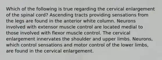 Which of the following is true regarding the cervical enlargement of <a href='https://www.questionai.com/knowledge/kkAfzcJHuZ-the-spinal-cord' class='anchor-knowledge'>the spinal cord</a>? Ascending tracts providing sensations from the legs are found in the anterior white column. Neurons involved with extensor muscle control are located medial to those involved with flexor muscle control. The cervical enlargement innervates the shoulder and <a href='https://www.questionai.com/knowledge/kJyXBSF4I2-upper-limb' class='anchor-knowledge'>upper limb</a>s. Neurons, which control sensations and motor control of the <a href='https://www.questionai.com/knowledge/kF4ILRdZqC-lower-limb' class='anchor-knowledge'>lower limb</a>s, are found in the cervical enlargement.